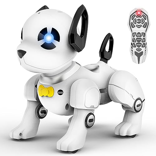 Best Remote Control Robot Toys