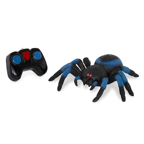 Best Remote Control Spider