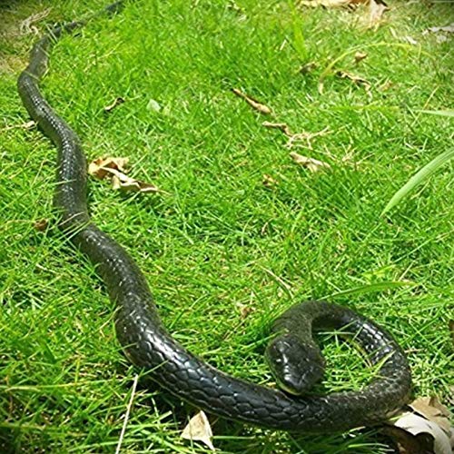 Remote Control Snake for Water
