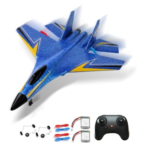 Big Remote Control Airplanes for Sale