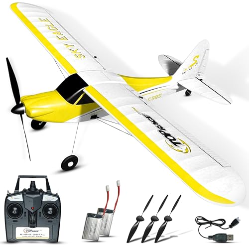 Best Rc Planes for Adults