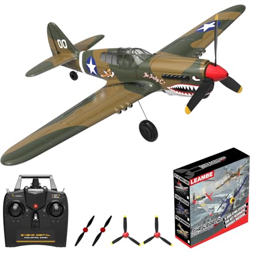 Large Remote Control Airplanes for Adults